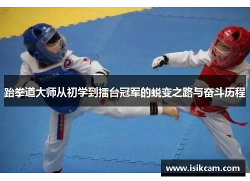 跆拳道大师从初学到擂台冠军的蜕变之路与奋斗历程